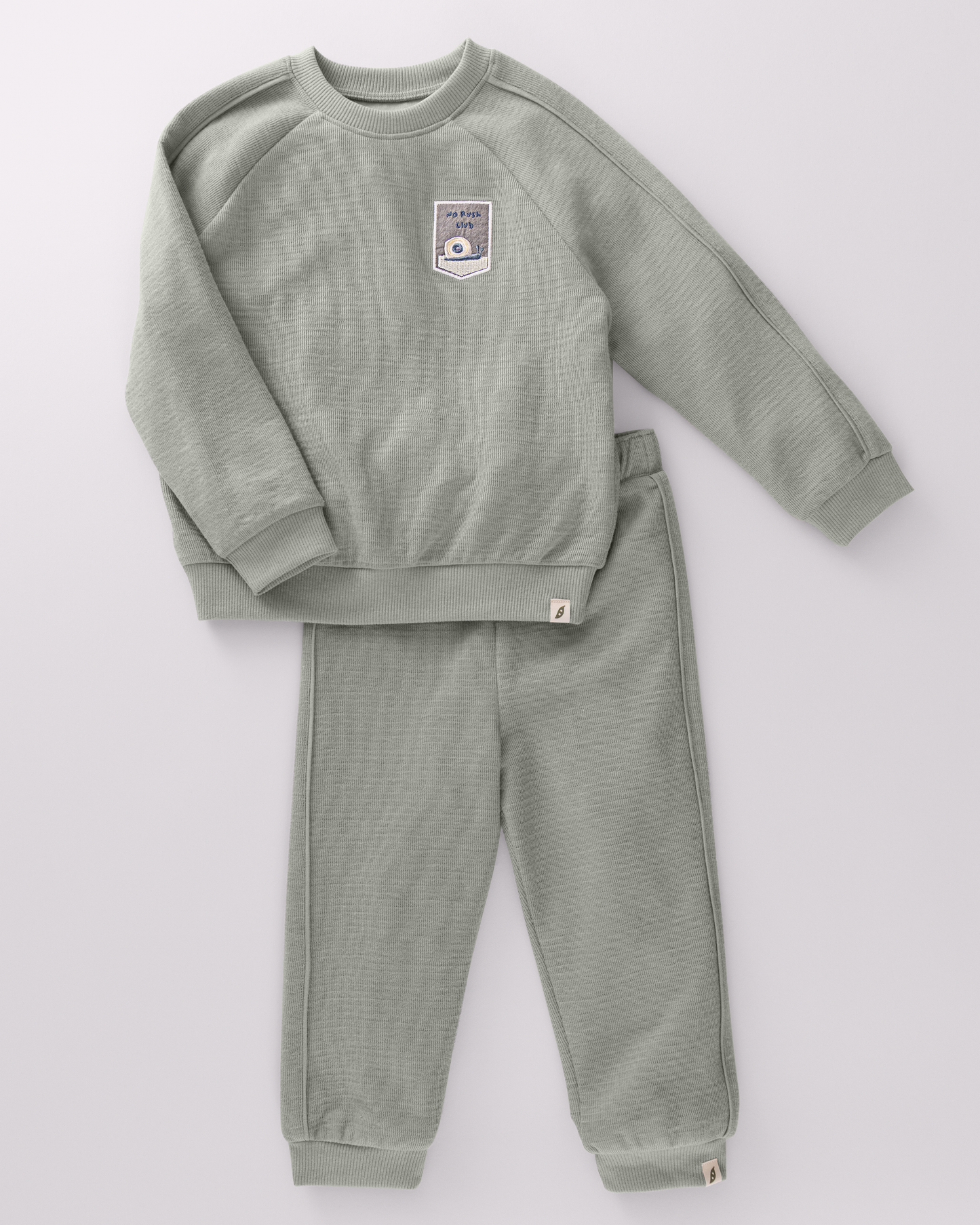 Baby & Toddler 2-Piece Organic Cotton Sweatshirt and Sweatpant Set